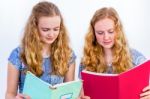 Two Teenage Girls Reading School Books Stock Photo