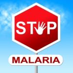 Stop Malaria Indicates Warning Sign And Caution Stock Photo