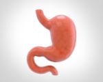Human Stomach 3d Illustration In Digital Background Stock Photo
