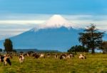 Idyllic Landscape Of Osorno Volcano, Lake Region, Chile Stock Photo