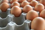 Egg Tray Stock Photo