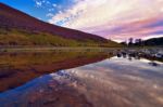 Colorful Landscape Scenery Of Pentland Hills Slope Covered By Vi Stock Photo