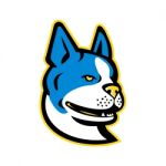 Boston Terrier Dog Mascot Stock Photo