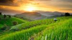 Rice Terraces With Sunset Backdrop At Ban Papongpieng Chiangmai Stock Photo
