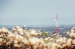 Soft Focus Telecommunication Tower With Blur Flower Foreground Stock Photo