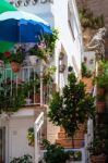 Mijas, Andalucia/spain - July 3 : Typical House In Mijas   Andal Stock Photo