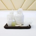 Tray With Toiletries Stock Photo