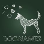 Dog Names Represents Puppy Purebred And Identity Stock Photo