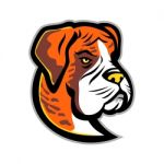 Boxer Dog Mascot Stock Photo