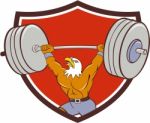 Bald Eagle Weightlifter Lifting Barbell Crest Cartoon Stock Photo