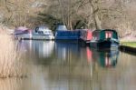 Narrow Boats On The River Wey Navigations Canal Stock Photo