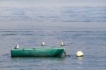 Anchored Traditional Fishing Boat With Three Seagulls Stock Photo