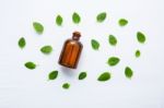 Mint Essential Oil In A Glass Bottle With Leaves On White Backgr Stock Photo