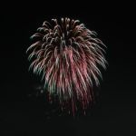 Bush Firework Style Explode On Night Sky Stock Photo