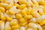 Corn Closeup Stock Photo