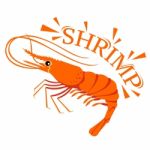 Shrimp Cartoon With Text For Food Flavor Stock Photo