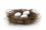 Egg And Nest Stock Photo