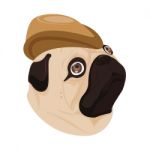 Dog Brown Hat On White Background Stock Photo