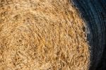 Bales Of Hay Stock Photo