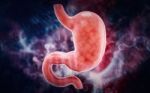 Human Stomach 3d Illustration In Digital Background Stock Photo