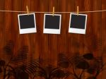 Photo Frames Indicates Blank Space And Border Stock Photo