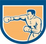 Boxer Boxing Punching Shield Cartoon Stock Photo