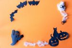 Halloween Concept With Black Cat And Pumpkin Stock Photo