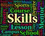 Skills Word Indicates Words Text And Ability Stock Photo