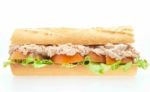 Tasty Tuna Sandwich Stock Photo