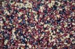 Colorful Of Beans Stock Photo