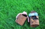 Couple Of Rusty Can With Ribbon On Young Grass,like A Sign Of "f Stock Photo