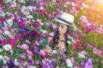 Woman And Cosmos Flowers Stock Photo