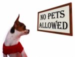 No Pets Allowed Sign Stock Photo