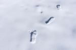 Footprints In Snow Stock Photo