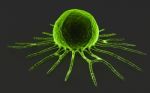 Cancer Cell Stock Photo