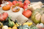 A Group Of Colourful Gourds In Friedrichsdorf Stock Photo