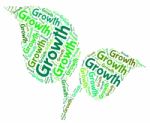 Growth Word Indicates Grows Words And Cultivates Stock Photo