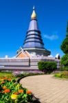 Thai Pagoda Stock Photo
