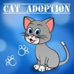Cat Adoption Means Guardianship Pet And Adopted Stock Photo