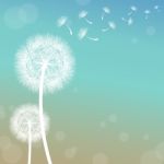 Dandelion Stock Photo