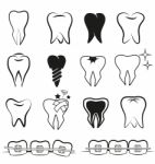 Set Of Teeth Stock Photo