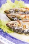 Tasty Grilled Sardines Stock Photo