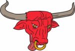 Texas Longhorn Red Bull Drawing Stock Photo