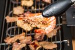 Grilled Shrimps Stock Photo