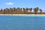 Isla Contoy   In Mexico Day  Wave Stock Photo