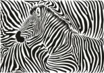 Background With A Zebra Motif Stock Photo