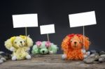 Dolls Dog On Rally Holding A Placard Stock Photo