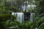 Russel Falls In Mount Field National Park Stock Photo