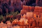Bryce Canyon Glowing In The Early Morning Sunshine Stock Photo