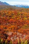 Autumn Colors Of Patagonia, Near Bariloche, Argentina Stock Photo